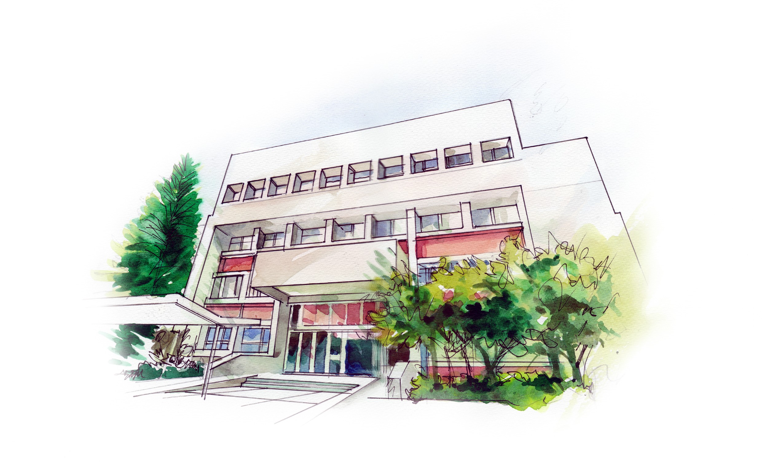 Your Journey at TMU Starts with Mandarin.